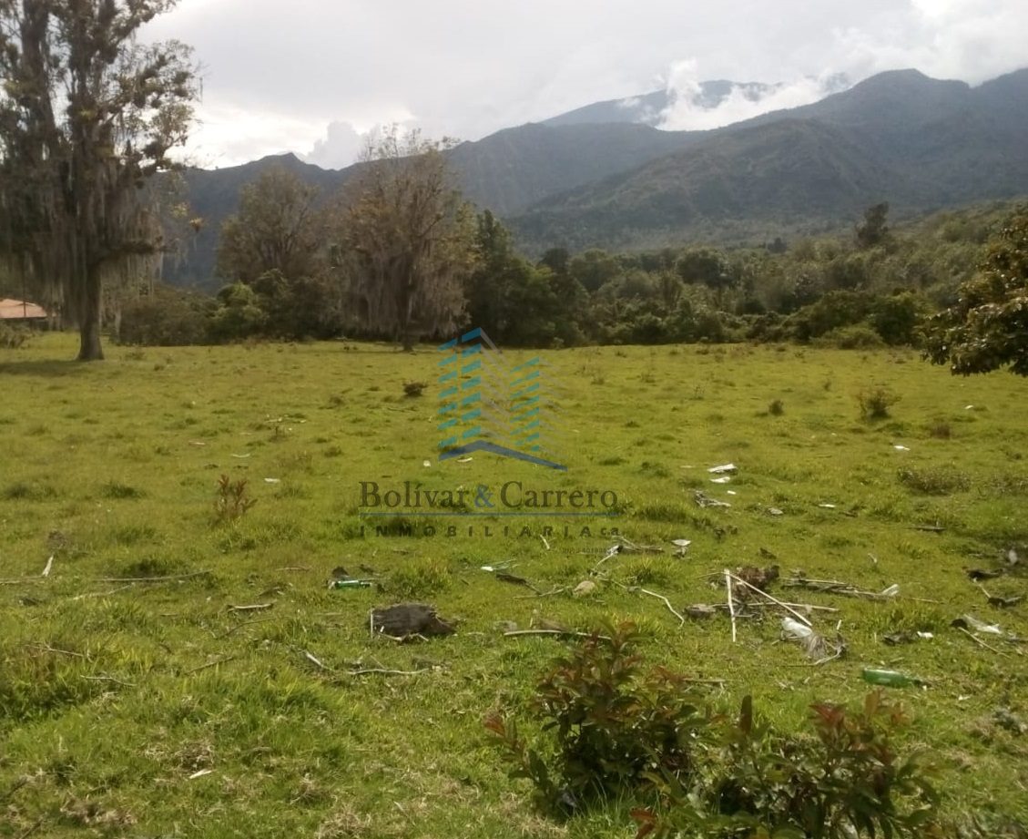 𝗧𝗘𝗥𝗥𝗘𝗡𝗢 𝗘𝗡 𝗩𝗘𝗡𝗧𝗔 𝗘𝗡 𝗘𝗟 𝗩𝗔𝗟𝗟𝗘𝗖𝗜𝗧𝗢, de la ciudad de Mérida, Venezuela. 𝘽&𝘾0-716