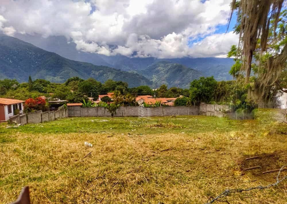 𝙏𝙀𝙍𝙍𝙀𝙉𝙊 𝙀𝙉 𝙑𝙀𝙉𝙏𝘼 𝙀𝙉 𝘼𝙑. 𝙇𝙊𝙎 𝙋𝙍𝙊𝘾𝙀𝙍𝙀𝙎, de la ciudad de Mérida. 𝘽&𝘾0-94