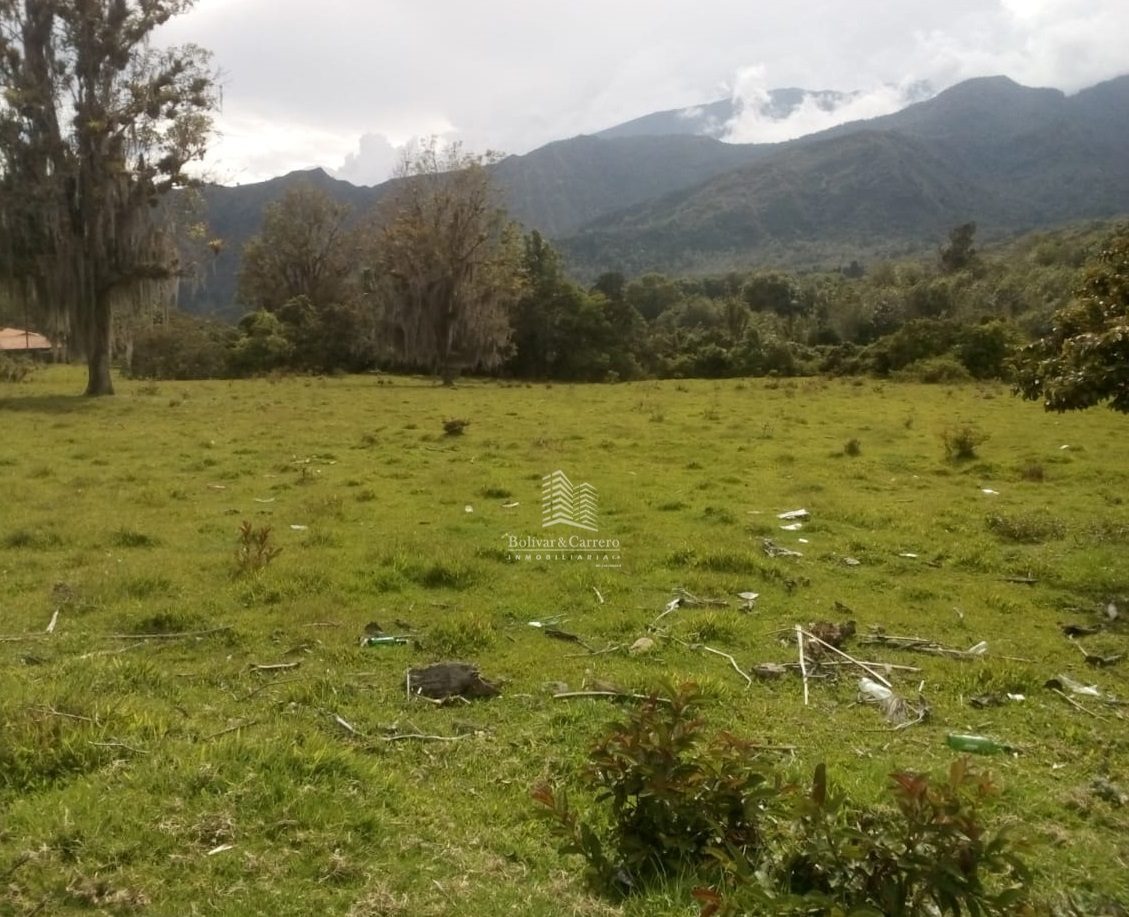 AV URDANETA