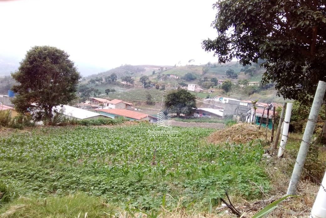 EN VENTA 𝐎𝐏𝐎𝐑𝐓𝐔𝐍𝐈𝐃𝐀𝐃 𝐃𝐄 𝐈𝐍𝐕𝐄𝐑𝐒𝐈𝐎́𝐍 𝐄𝐍 𝐔𝐍 𝐓𝐄𝐑𝐑𝐄𝐍𝐎 ubicado en Bailadores, en la ciudad de Mérida.  𝐙𝐂𝟔-𝟓𝟏